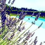 Residenza Eden