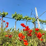 Casa di campagna Residenza Eden