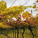 Casa di campagna Residenza Eden *