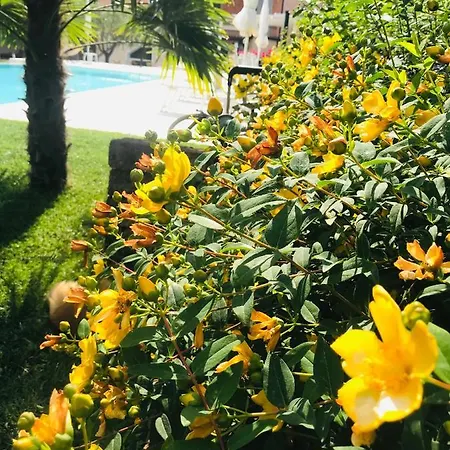 Residenza Eden Летний дом Кола
