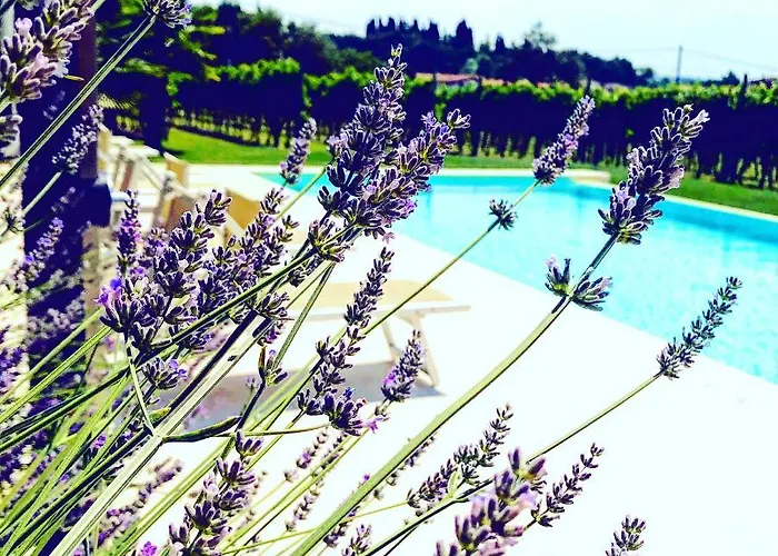 Residenza Eden