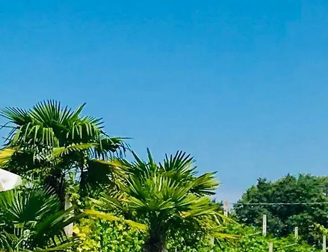 Residenza Eden Colà