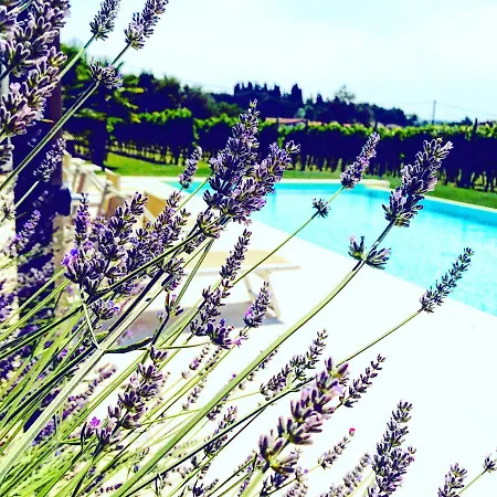 Residenza Eden