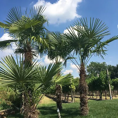 Residenza Eden * Cola (Verona)