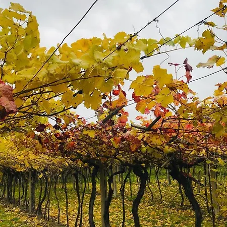 Casa rural Residenza Eden *